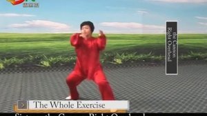 Chen style Tai Chi 18  01