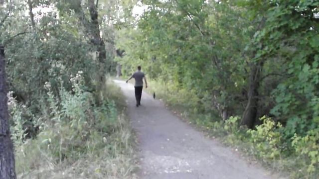 Коноваловский пруд. Город Вичуга смотреть онлайн