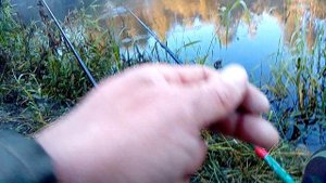 С удочкой на берегу !