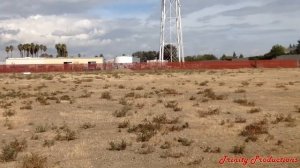 RCF Evox 8  - AUTHORIZED DEALER