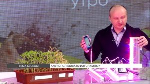 Как использовать фитолампы?