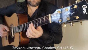 Cort Gold-D6 NAT