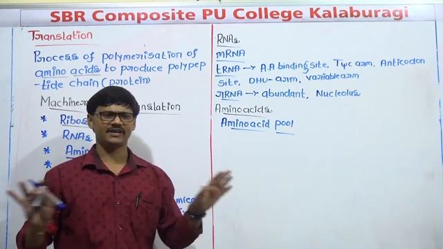 BOTANY-Molecular basis of inheritance -Translation-27-08-2020