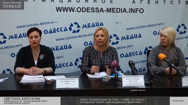 Активисты о необходимости городского приют для бездомных животных смотреть онлайн