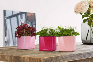 Кашпо для цветов ? LECHUZA CUBE Glossy Kiss с автополивом ? #lechuzamoscow #автополив