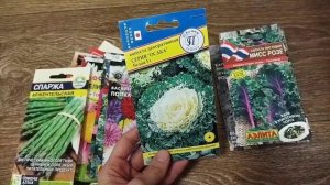 Покупка семян КАПУСТЫ КАЛЕ в магазине САН ГРИН