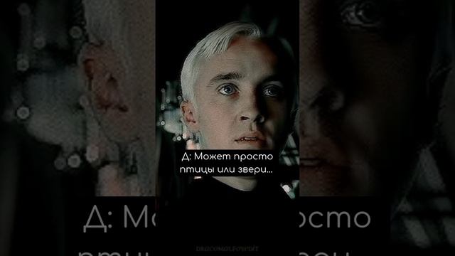 ЧАСТЬ 35 Фф «Между нами провода» Драко и Т/И #dracomalfoy #фанфик #hogwarts #рекомендации #дракоша