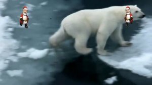 Заплутали мишки, заплутали   Алёна Апина, Евгений Росс и Евгений Кемеровский