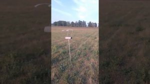 Тест развесного пороха А1 Нобель спорт.