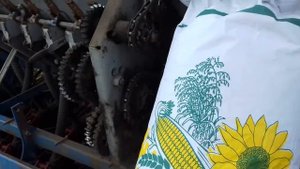 СЗС 3.6 сеем подсолнух СУР
