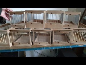 Отсадники на все случаи жизни. Для жаворонков, овсянок, синиц, крапивников и с высоким бортом.