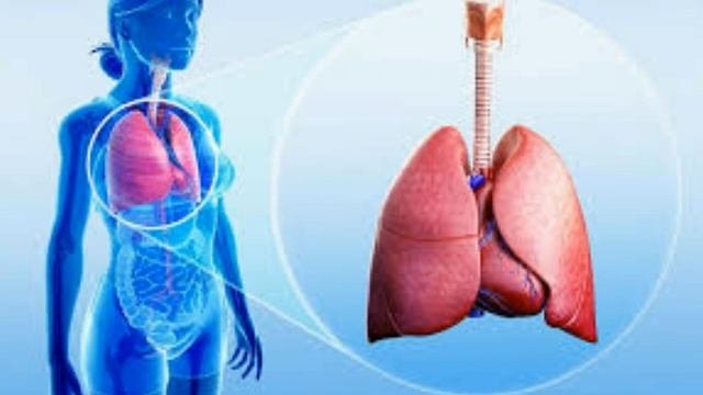 ЭФФЕКТИВНЫЙ СПОСОБ ОЧИЩЕНИЯ ЛЕГКИХ ЗА 3 ДНЯ.ПРОСТОЙ РЕЦЕПТ ПРОВЕРЕН ВРЕМЕНЕМ.
