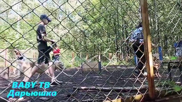 ??Лесопарк в Мытищах.?Прогулка в лес. смотреть онлайн