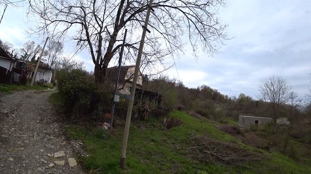 Смотрим участок в Сочи - садовое товарищество в районе Шексна