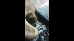 Моросит ДМРВ лапата bmw e36 m40.