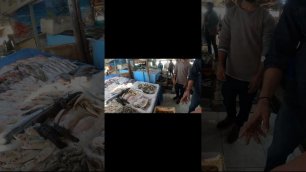 Цены на морепродукты в Египте.
