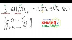Азотная кислота и аммиак.Окислительно-восстановительные свойства соединений азота.