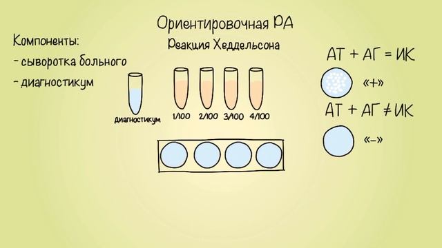 Реакция агглютинации (ориентировочная и развёрнутая) смотреть онлайн
