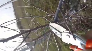 Секатор LOWE 1 и 2 серия