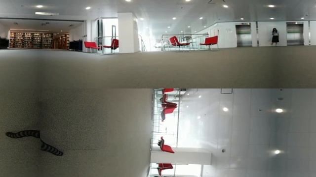 Video Stitching( Template Matching )360_0154