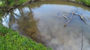 Ловля форели на спиннинг.  Как нужно ловить форель?