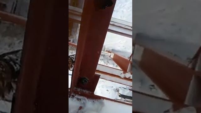 Монтажники 40 уровня! Прикол смотреть онлайн