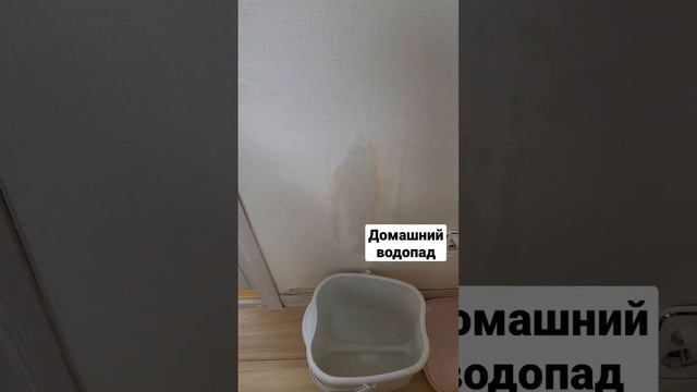 Обожаю геморрой! #корея #кондиционер #водопад #diy #прикол #craft #весело #humor