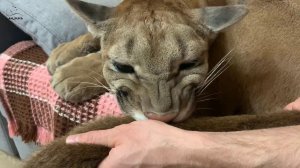 Месси и его команда.