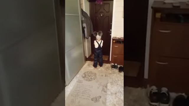 Бентли против Инфинити смотреть онлайн