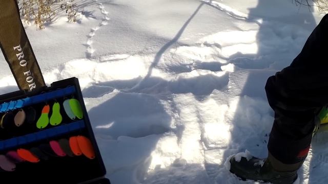 Хорош экземплярчик! Рыбалка зимой на спиннинг смотреть онлайн