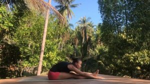 Складка сидя на полу. Вытяжение задней поверхности бедра и подколенных связок