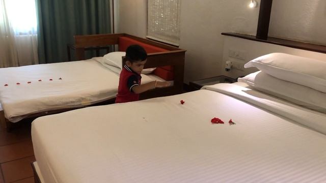 ഒരു കിടിലോസ്കി Beach Resort in Alappuzha | Marari Beach Resort CGH Earth смотреть онлайн