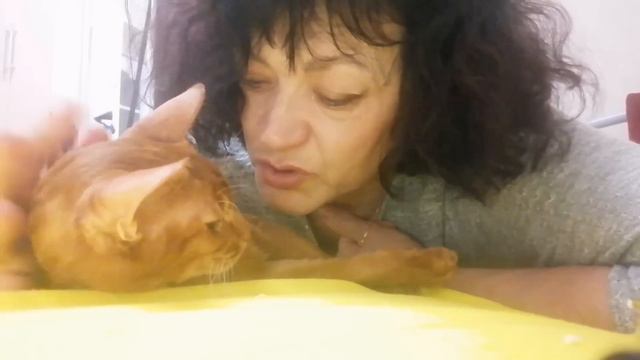 Грустный вечер с Мавром. смотреть онлайн