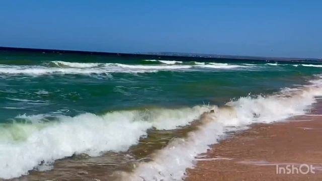 Азовское море.Волны и птицы. Бакланловитрыбу#азовскоеморе#чайки#волны#крымскийпляж#морскиептицы