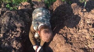 Копаю копанку, пруд для рыбы