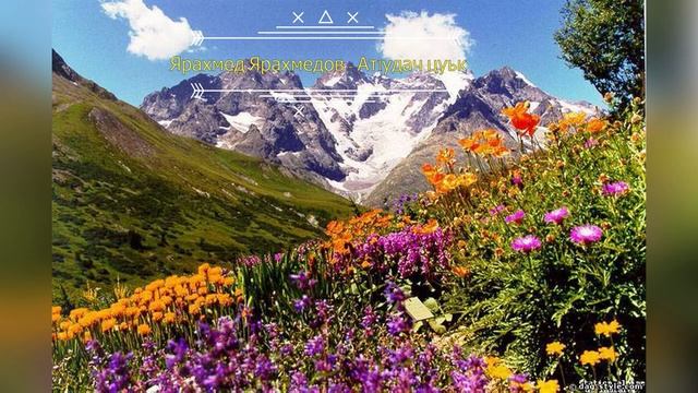 Ярахмед Ярахмедов - Атlудач цуьк 2021. смотреть онлайн