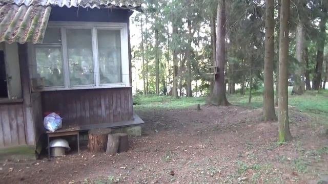 Владимир Иванович Говоров 1.05.1946 - 25.07.2021 - Хроника прощания - наследие предков- Global Wave