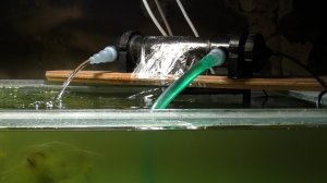 УФ-лампа(стерилизатор). Зачем она нужна в аквариуме. UV lamp(sterilizer)