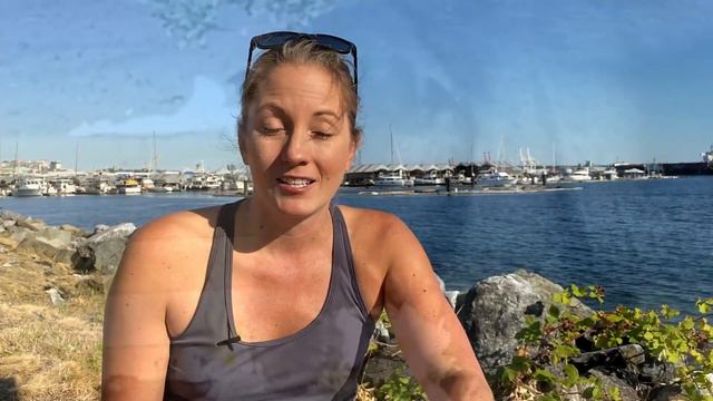 Seal vs Sea Lion: Who is Cuter and What is the Difference? смотреть онлайн