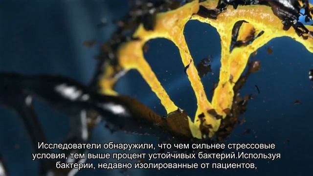 Бактерии умеют впадать в длительный сон, избегая смерти от антибиотиков смотреть онлайн