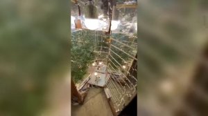 Полицейские в Норильске задержали местного жителя, организовавшего нарколабораторию в своей квартире