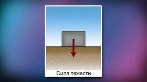 В физике вес и масса — разные понятия.