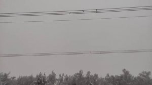 Треск ЛЭП 500 кВ под фазами и вид на сказочный зимний лес.