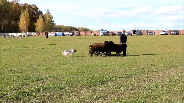 2016 10 01 Семинар Луна остановки смотреть онлайн