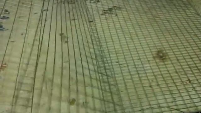 Делаем клетку для перепелов смотреть онлайн