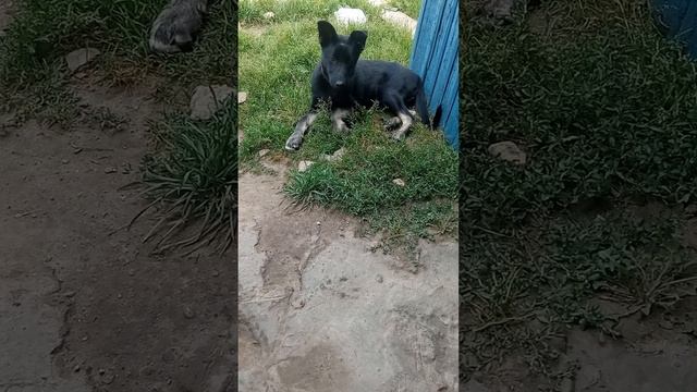 ав,,, смотреть онлайн