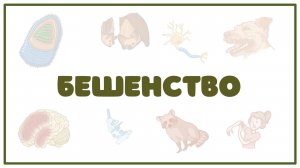 Бешенство - причины, симптомы, диагностика, лечение (микробиология) лекция