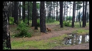 Летний отдых Озеро Арей, Забайкальского края
