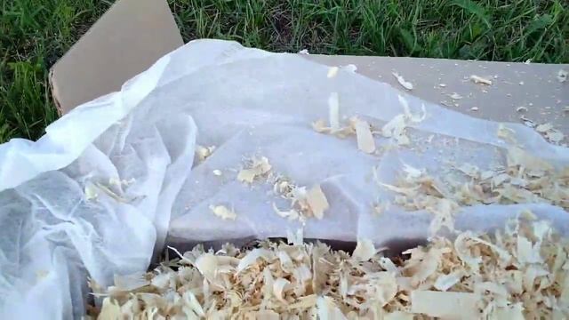 Отличная посылка с ирисами! Просто восторг!Питомник А. Б. Ворошиловой! Обзор посылки часть 1! смотреть онлайн