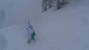 Спуск на горных лыжах в снегопад